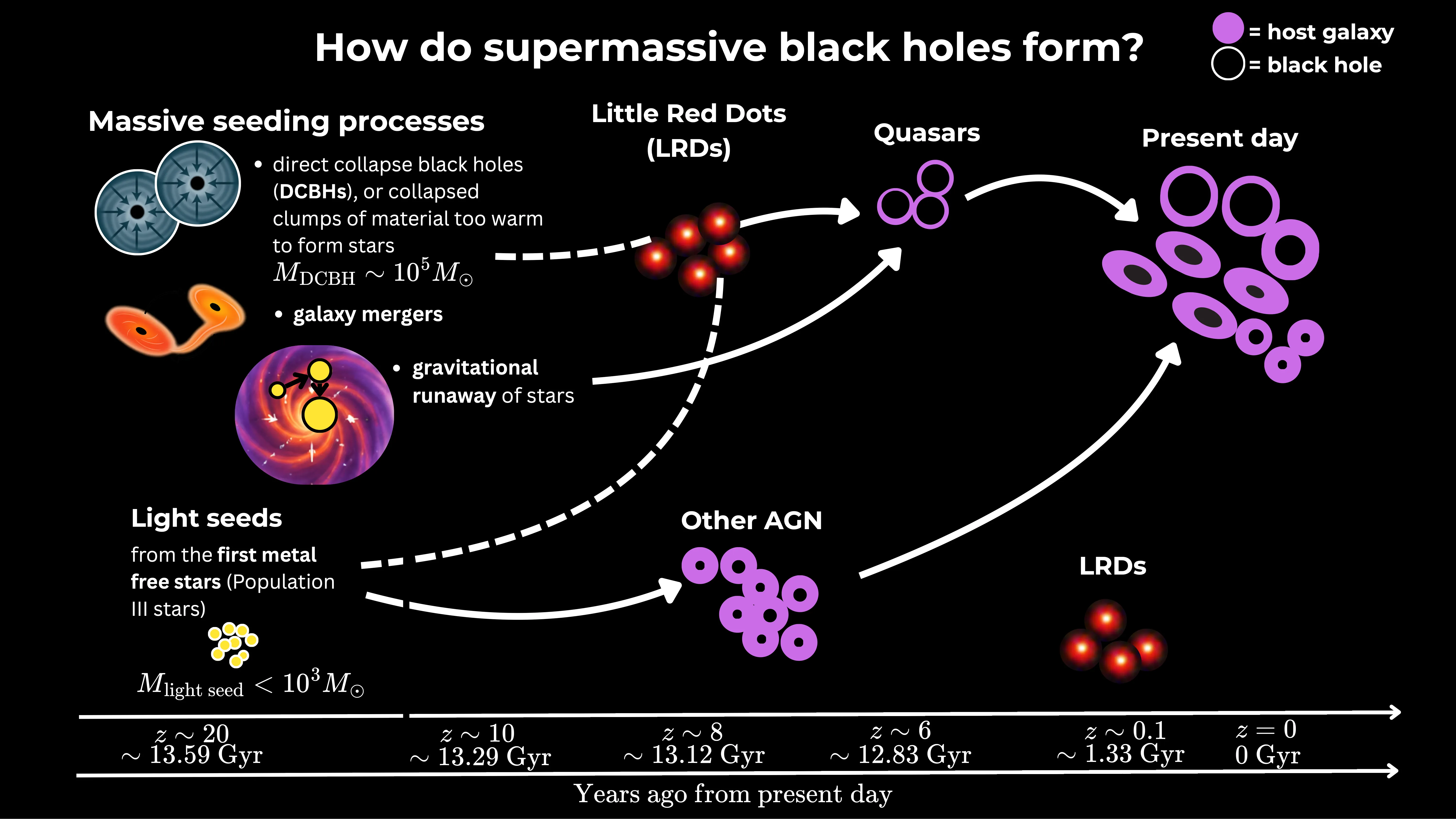Schematic titled 'How do supermassive black holes form?': massive black hole seeds (direct collapse, galaxy mergers, runaway star collisions) and light seeds from the first stars grow through Little Red Dots, quasars and other AGN into present-day host galaxies, along a timeline from redshift 20 to today.